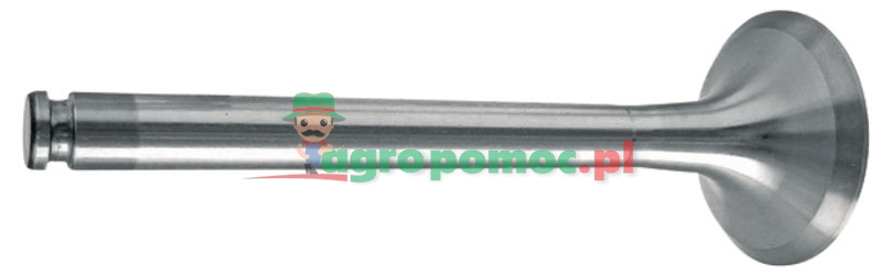 Exhaust valve | 4420500227 | zdjęcie nr 1