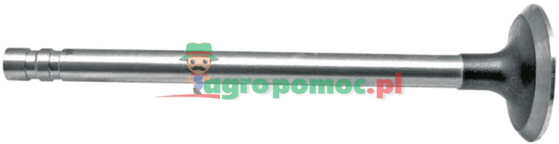 Exhaust valve | 87802262, 87802143 | zdjęcie nr 1