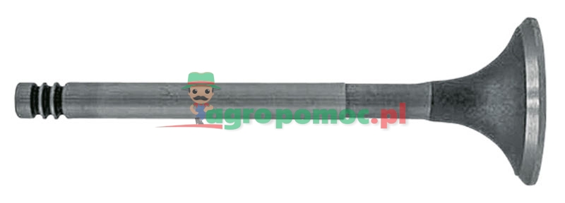 Exhaust valve | F385200210150 | zdjęcie nr 1