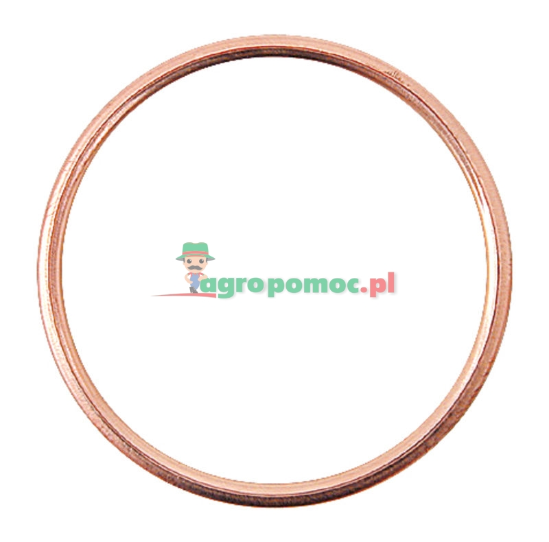 Filler sealing ring | zdjęcie nr 1