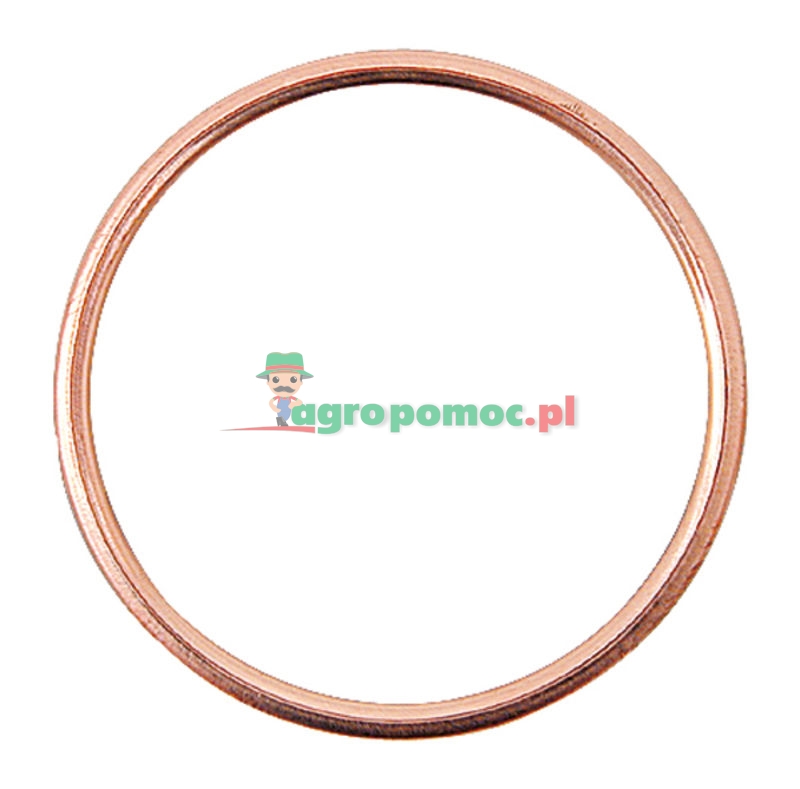 Filler sealing ring | zdjęcie nr 1