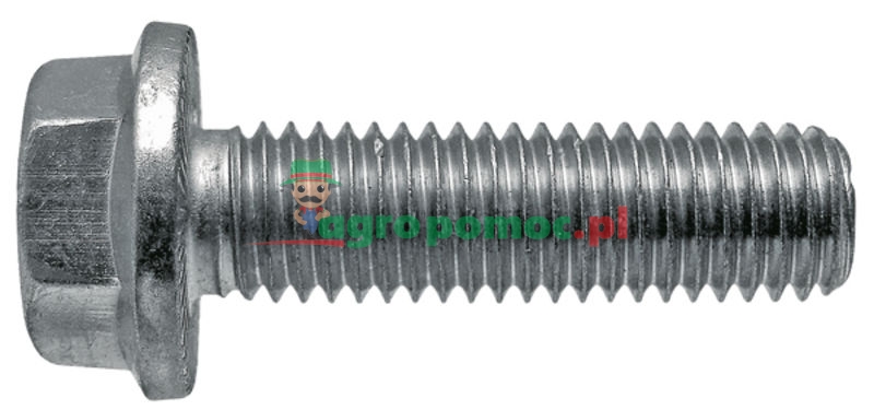 Flange bolt | 84261309 | zdjęcie nr 1