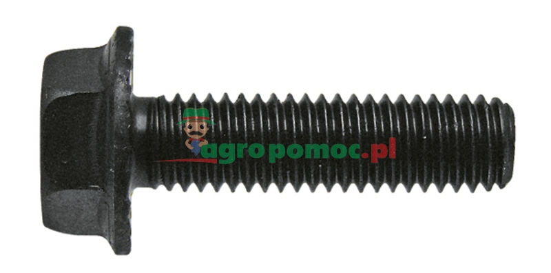 Flange bolt | zdjęcie nr 1