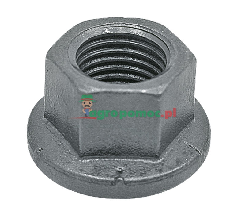 Flat-shouldered nut | zdjęcie nr 1