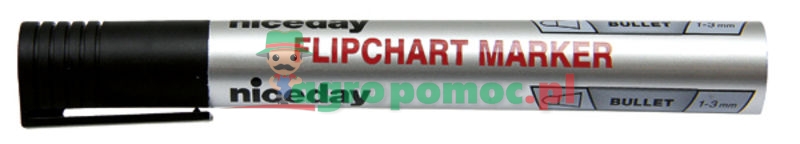 Flipchart marker | zdjęcie nr 1