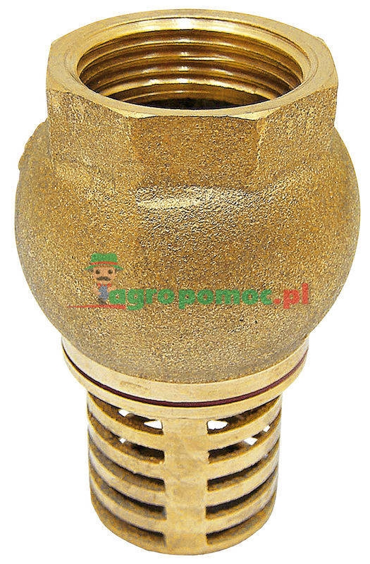 Foot valves | zdjęcie nr 1
