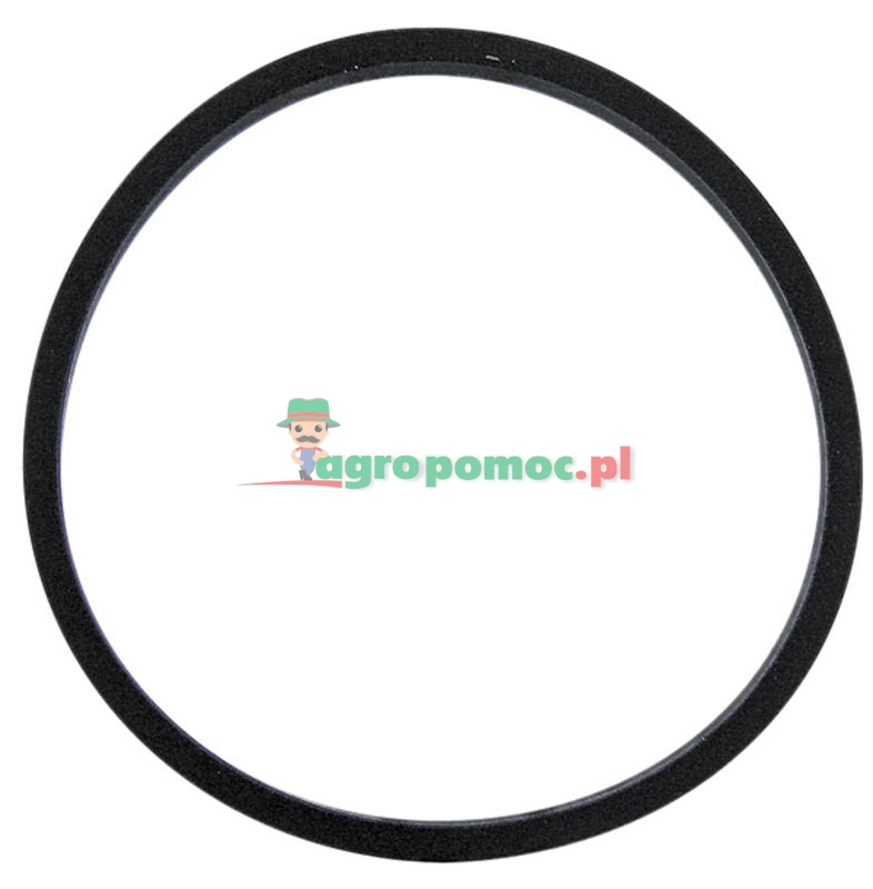 Gasket | 631028A, 631028, 29630121 | zdjęcie nr 1