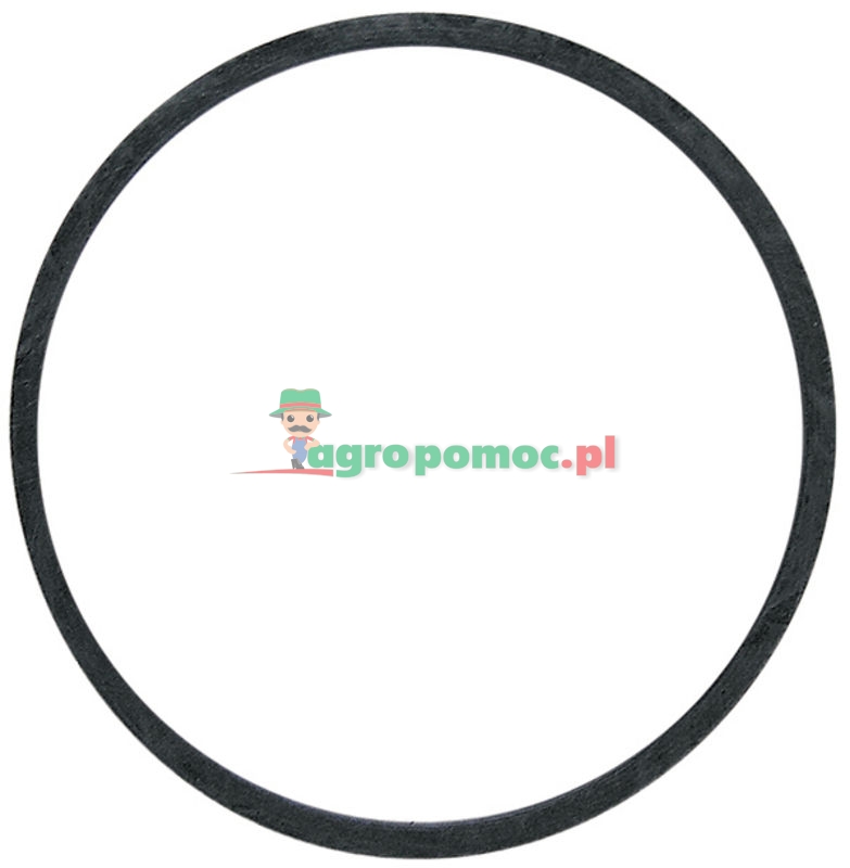 Gasket | 30356 | zdjęcie nr 1