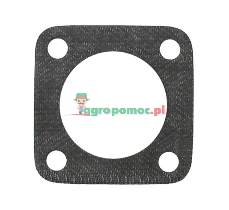 Gasket | 131100110011 | zdjęcie nr 1