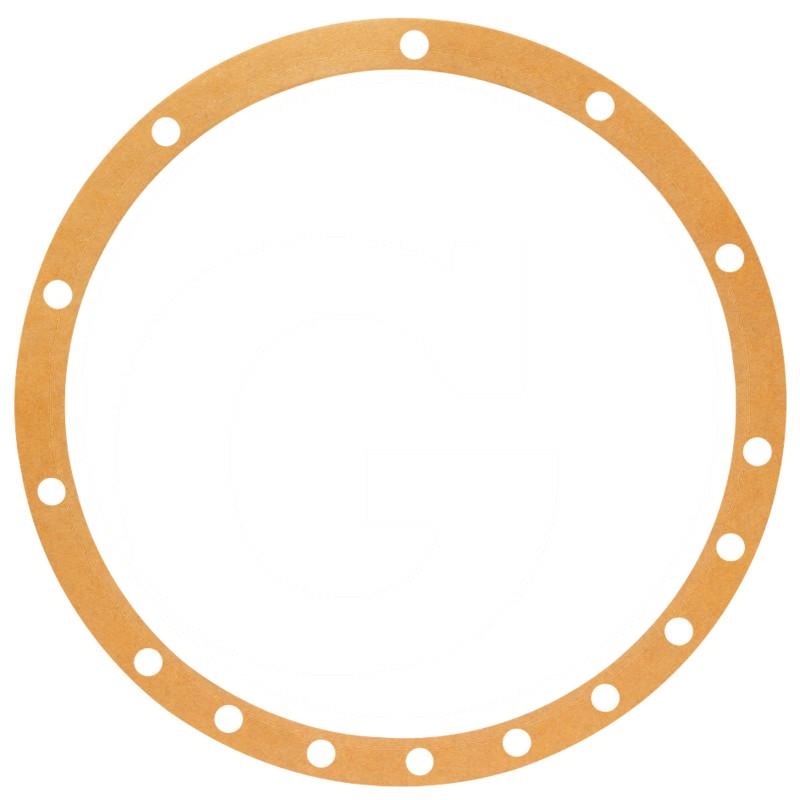 Gasket | 183254M1 | zdjęcie nr 1