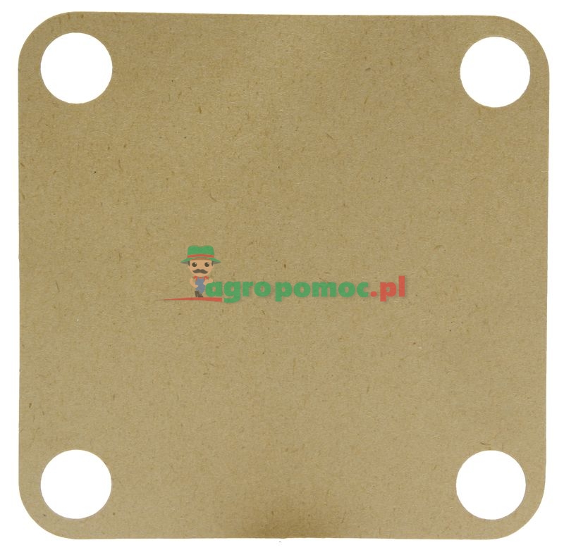 Gasket | 3131895R1 | zdjęcie nr 1