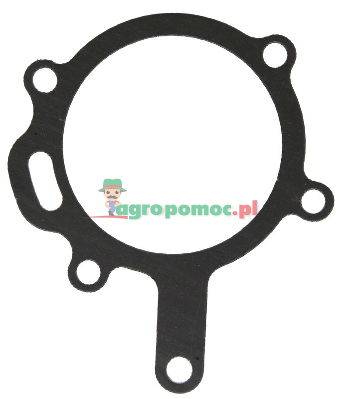 Gasket | 3118290R1 | zdjęcie nr 1