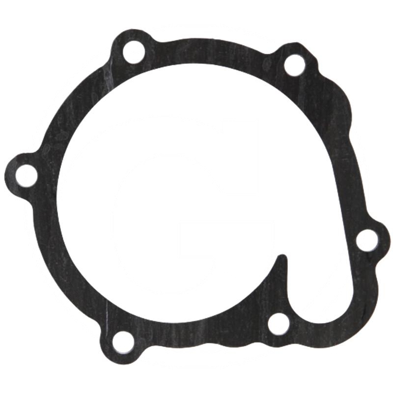 Gasket | F119200610040 | zdjęcie nr 1
