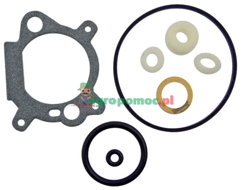 Gasket kit | 498260, 493762, 492495, 498261, 398183, 490937 | zdjęcie nr 1