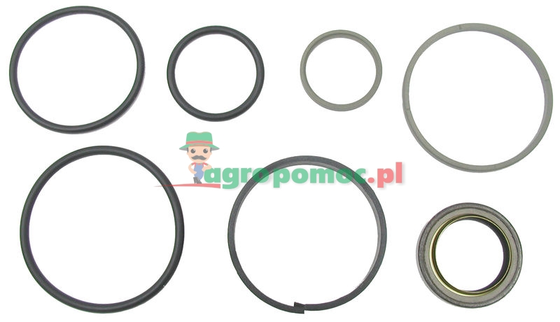 Gasket kit | 05001 | zdjęcie nr 1