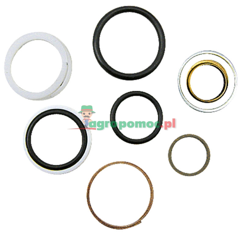 Gasket kit | 05022, 51070, 50025 | zdjęcie nr 1