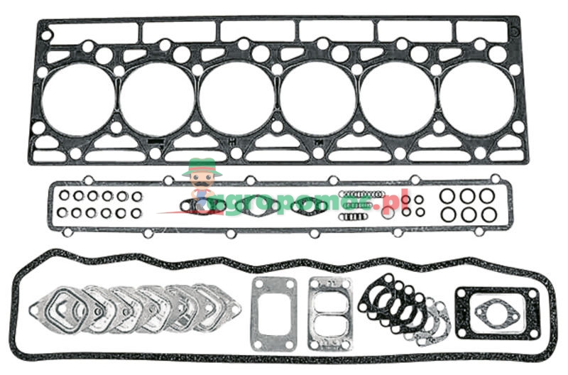 Gasket set | 3138751R96 | zdjęcie nr 1
