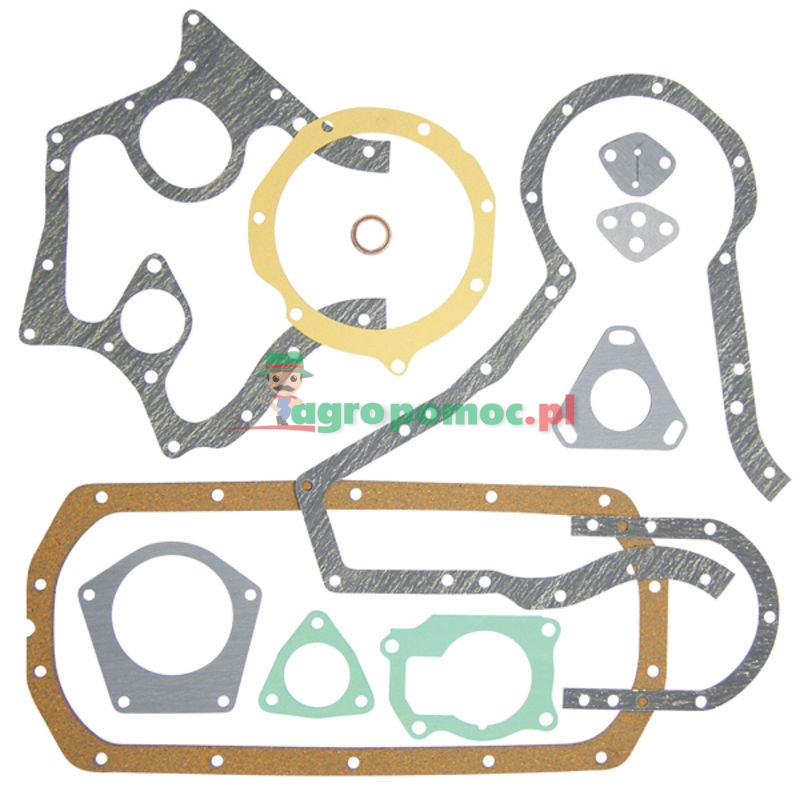 Gasket set | 3041249R92 | zdjęcie nr 1