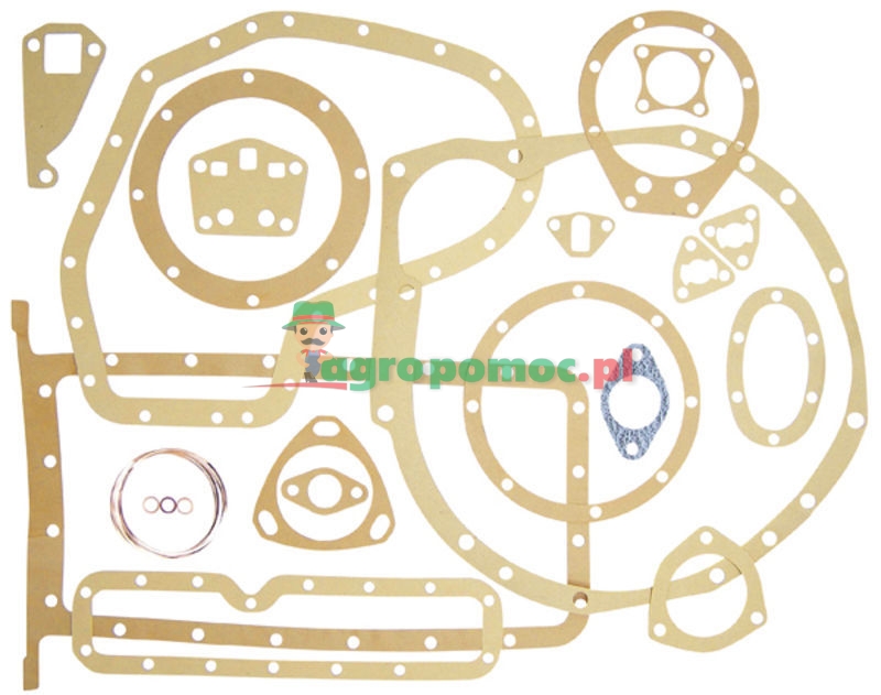 Gasket set | 894916M91 | zdjęcie nr 1