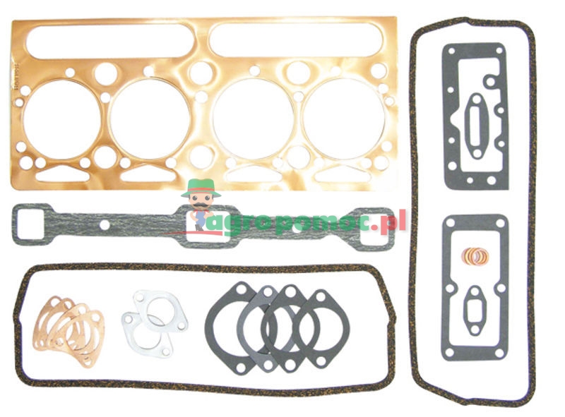 Gasket set | 746050M91 | zdjęcie nr 1