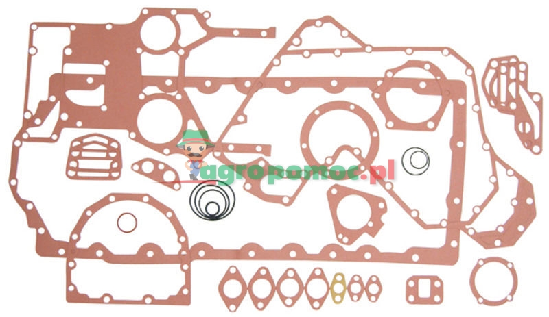 Gasket set | 4224613M91, 3638660M91 | zdjęcie nr 1
