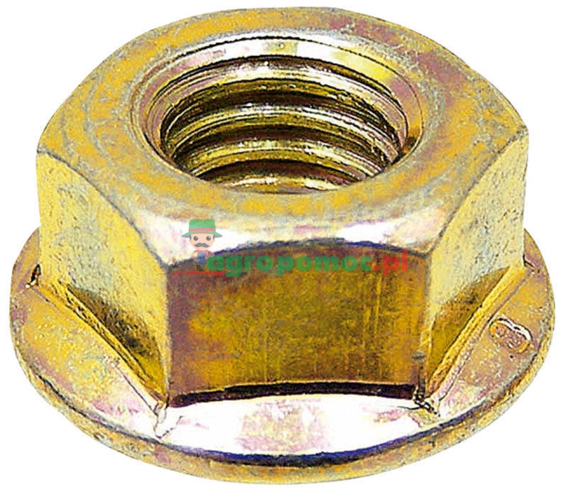 Guide bar nut | - | zdjęcie nr 1