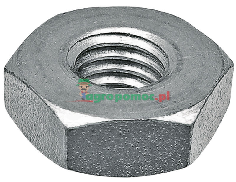 Guide bar nut | - | zdjęcie nr 1