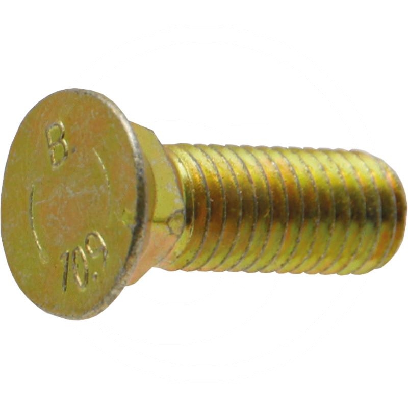 Head bolt | zdjęcie nr 1