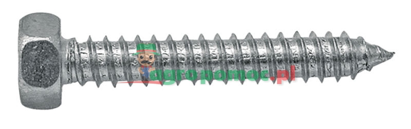 Hexagon-head sheet-metal screw | zdjęcie nr 1