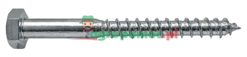 Hexagonal-head wood screws | zdjęcie nr 1