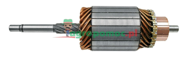 High speed armature | 2004004072 | zdjęcie nr 1