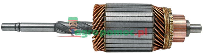 High speed armature | 2004004044 | zdjęcie nr 1