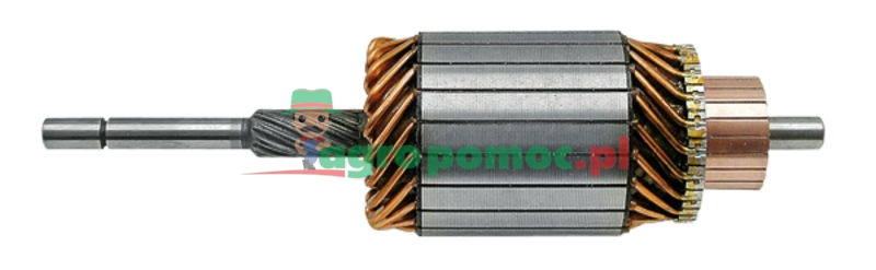 High speed armature | 2004004071 | zdjęcie nr 1