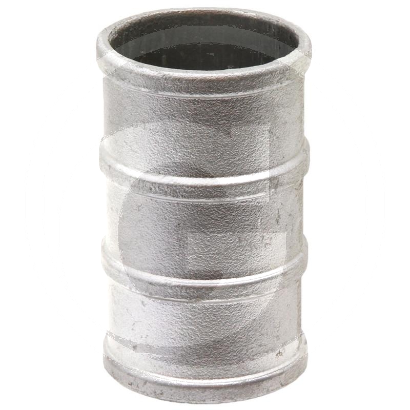 Hosetail | zdjęcie nr 1