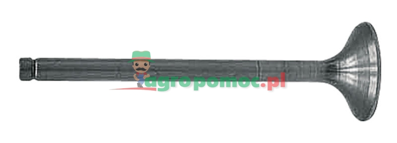 Inlet valve | 3055055R2 | zdjęcie nr 1