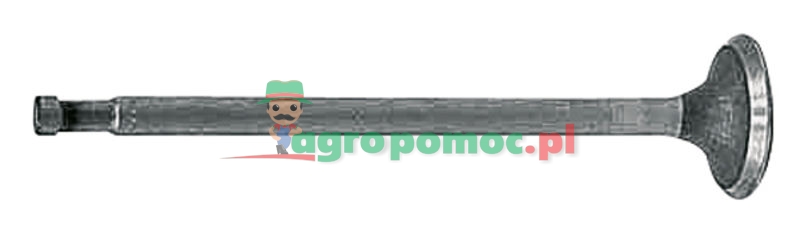 Inlet valve | 717374R1 | zdjęcie nr 1