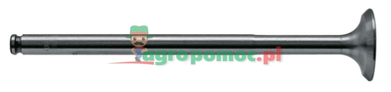 Inlet valve | 1231516R91 | zdjęcie nr 1