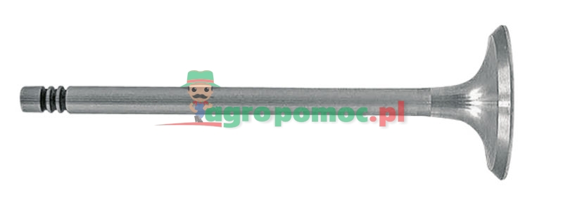 Inlet valve | 04153631 | zdjęcie nr 1