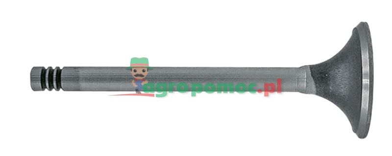 Inlet valve | 7701006369 | zdjęcie nr 1