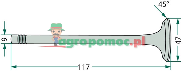 Inlet valve | 6005009608 | zdjęcie nr 1