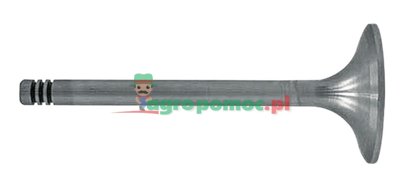 Inlet valve | 7701019251 | zdjęcie nr 1