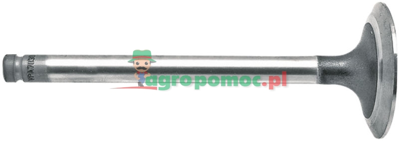 Inlet valve | 293751A1 | zdjęcie nr 1