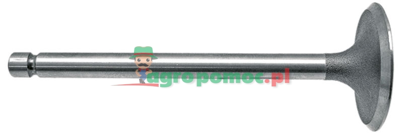 Inlet valve | 1884123M1, 826168M1 | zdjęcie nr 1