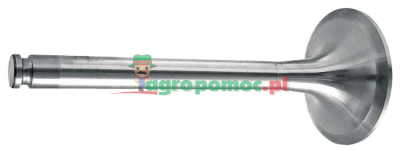 Inlet valve | 4420500526 | zdjęcie nr 1