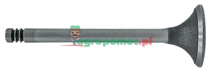 Inlet valve | F238200210040 | zdjęcie nr 1