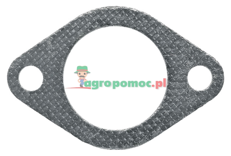 Intake gasket | R81275 | zdjęcie nr 1