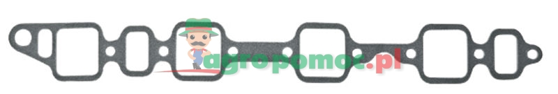 Intake gasket | 82845236 | zdjęcie nr 1