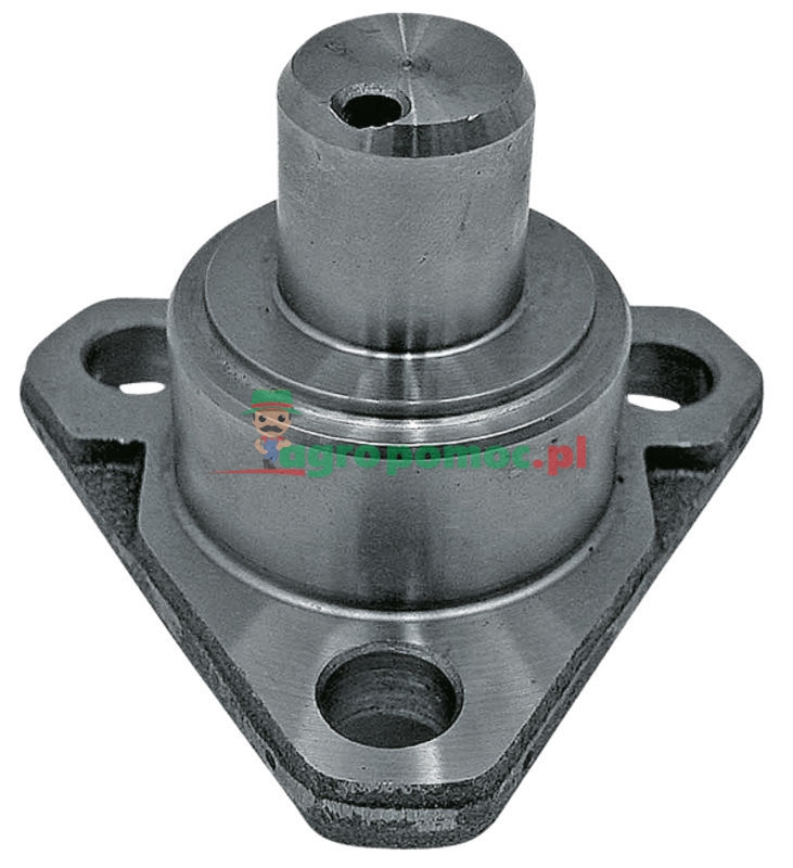 King pin | 81305C1 | zdjęcie nr 1