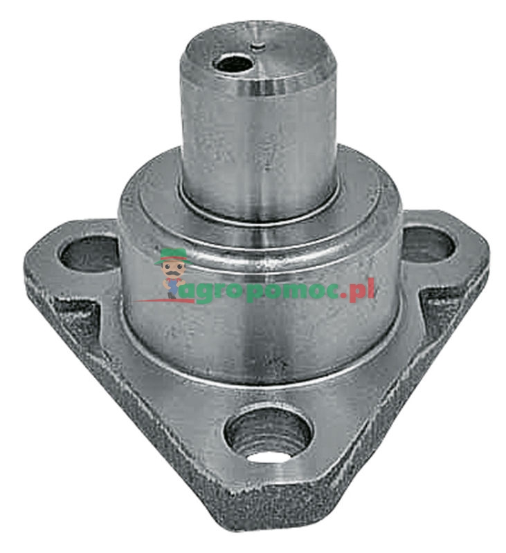 King pin | F198300020440 | zdjęcie nr 1