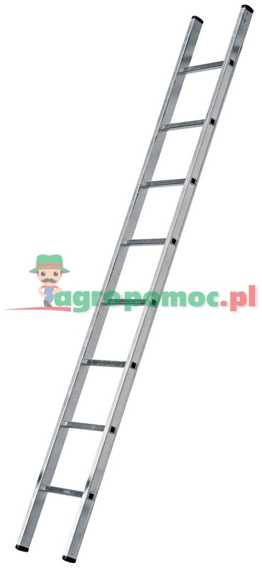 Ladder | zdjęcie nr 1